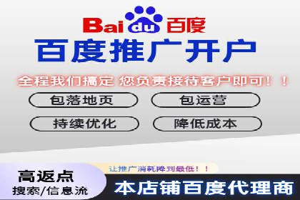 行业领先企业如何通过SEM运营提升ROI